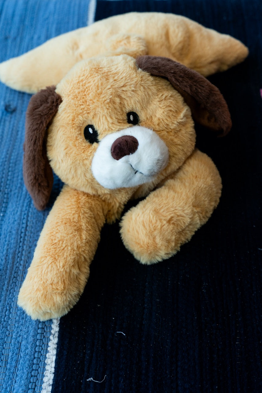 Coco the Soft Toy Puppy - Adorable Plush Puppy Toy